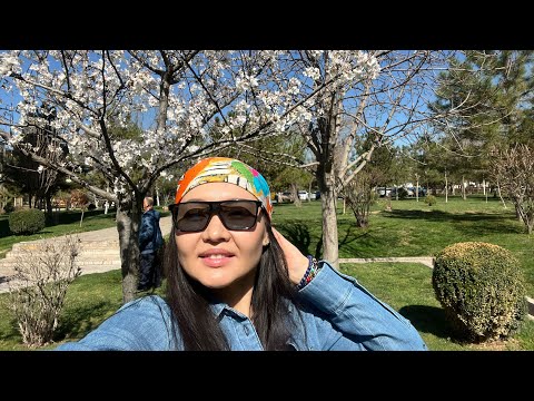 Видео: Алматы Ташкент Посмотри прежде чем ехать на машине🍈