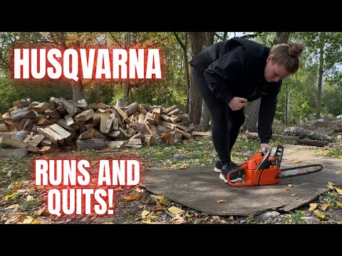 Видео: Спасение бензопилы Husqvarna 120 | Второй шанс на жизнь #hipa
