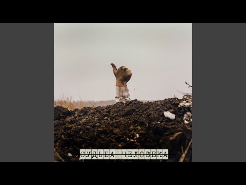 Видео: Мотыльки