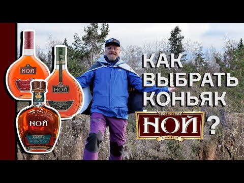Видео: Коньяк Ной – как правильно выбрать? Армянские коньяки Ной Классик, Ной Араспел и Ной Традиционный
