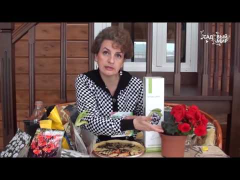 Видео: Ранняя покупка растений  Как сохранить саженцы до посадки