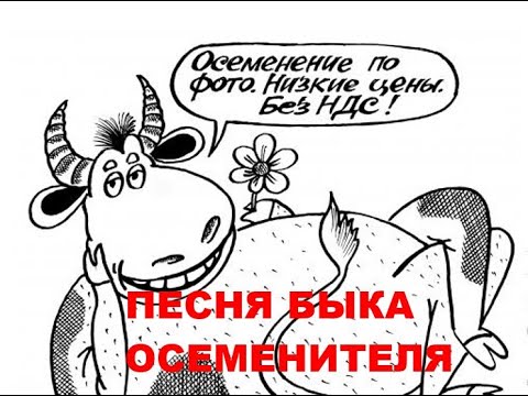 Видео: ПЕСНЯ БЫКА-ОСЕМЕНИТЕЛЯ
