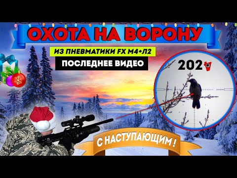 Видео: Предновогодняя Охота на Ворону с Пневматикой.№16. Crow Hunting 2024. Кроухантинг. Jack Hunter.