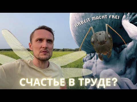 Видео: О труде, преодолении себя и рецептах счастья.  И снова о муравьях и стрекозах.