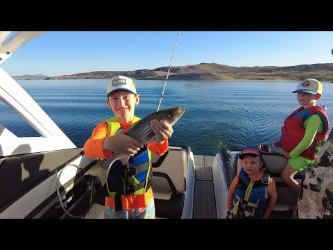 Видео: Рыбалка в пустыне.