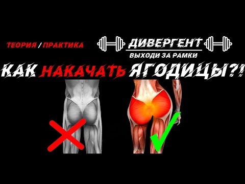 Видео: КАК НАКАЧАТЬ ЯГОДИЦЫ?! ТРЕНИРОВКА НА ЯГОДИЦЫ!