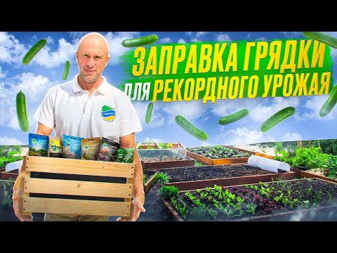 Видео: Заправка грядки для РЕКОРДНОГО УРОЖАЯ огурцов