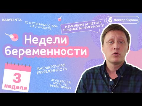Видео: 3 неделя беременности - что происходит с плодом, внематочная беременность, изменение аппетита, ХГЧ