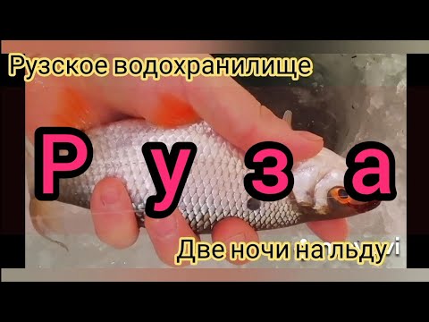 Видео: Рузское водохранилище. Рыбалка с ночёвкой. Ловля плотвы. 22 по 24 января.