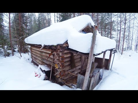 Видео: МЕТЕЛЬ И ВОЛКИ, ПРЯЧУСЬ В ИЗБЕ, ЖИВУ ОДИН В ЛЕСУ.