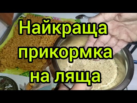 Видео: Краща прикормка на ляща і всю білу рибу