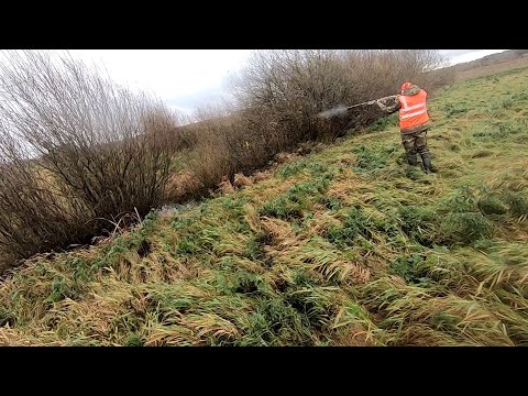 Видео: Загонная ОХОТА. ПОДКРАДУНЫ. 4 ноября 2023г.