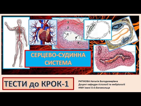 Видео: Крок-1_Тести_Серцево-судинна система