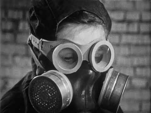 Видео: Выращивание кормовых культур на осушенных землях, 1973