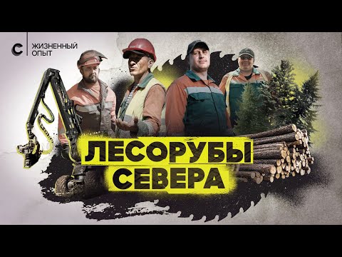 Видео: Хозяева леса. Профессия — лесоруб