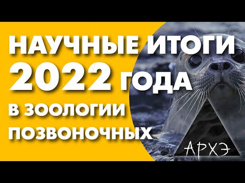 Видео: Павел Квартальнов: Итоги 2022 года в зоологии позвоночных