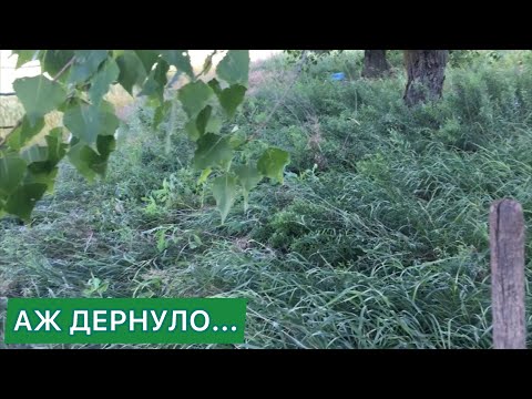 Видео: Закрепление навыков или второй, пробный металлокоп | В посадке между полями с металлоискателем Пират