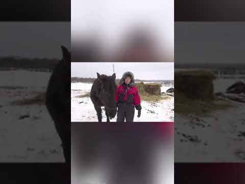 Видео: Гельминты у лошадей