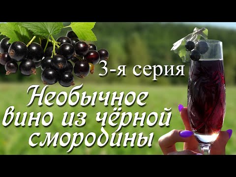 Видео: Как определить крепость вина.