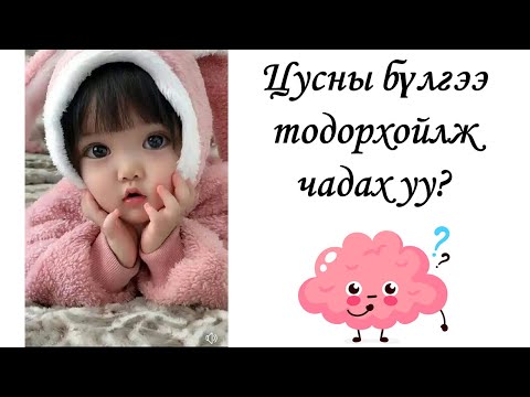 Видео: Цусны бүлэг ба түүний бодлогууд /цус сэлбэх дүрэм/