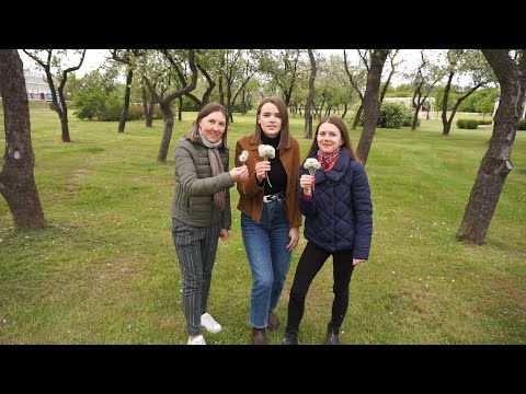 Видео: Креативное видео поздравление с Днем Рождения!