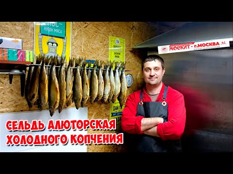 Видео: СЕЛЁДКА ХОЛОДНОГО КОПЧЕНИЯ В МОЕЙ КОПТИЛОЧКЕ ОТ КОМПАНИИ МОСКИТ 🤝😊