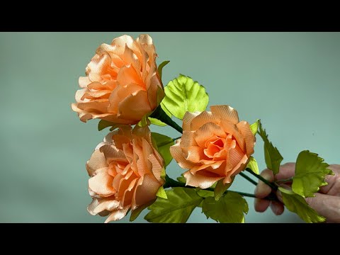 Видео: 11 ноября 2025 г.