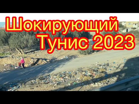 Видео: Тунис сегодня/ Горы мусора/Дорога в Хаммамет/Размещение в отеле