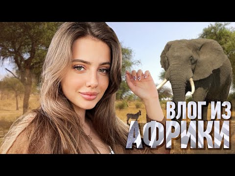 Видео: ВЛОГ ИЗ АФРИКИ. Как это было