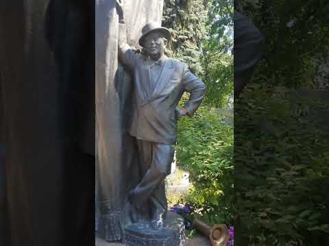 Видео: НОВОДЕВИЧЬЕ, июль 2025