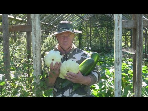 Видео: Матушка Земля Накормит если Приложитиь Руки.Жизнь в Деревне