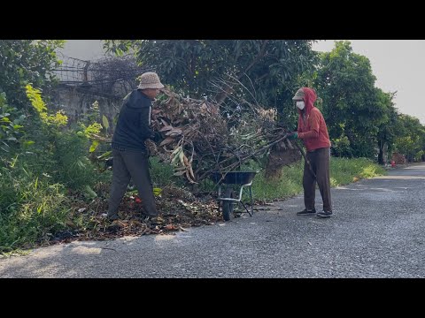 Видео: Невероятно! Эта красивая дорожка была покрыта сорняками и обгоревшими ветками