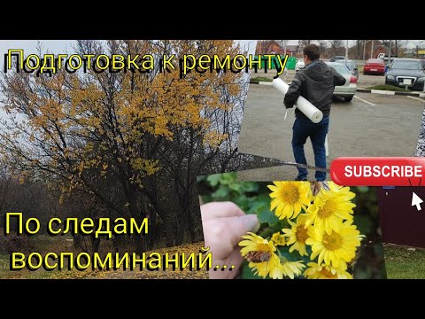 Видео: Влог# 560 По следам ВОСПОМИНАНИЙ 💔 Подготовка к РЕМОНТУ 🛋️