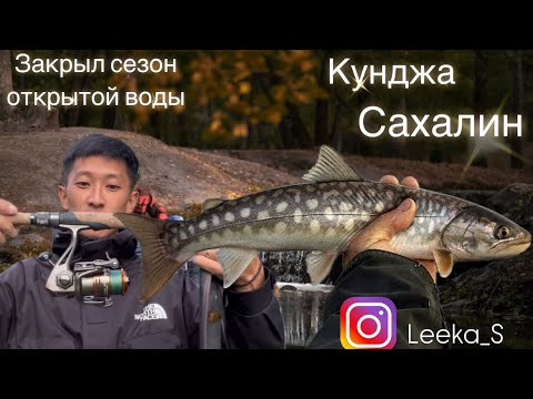 Видео: Осенняя Кунджа/рыбалка Сахалин/рыбы очень было много/#отдых#туризм#fishing#рыбалка
