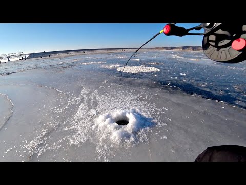 Видео: ТОЛЬКО НАШЛИ и НАС ОКРУЖИЛИ!! Ловля СУДАКА и ЩУКИ НА БАЛАНСИР ЗИМОЙ.