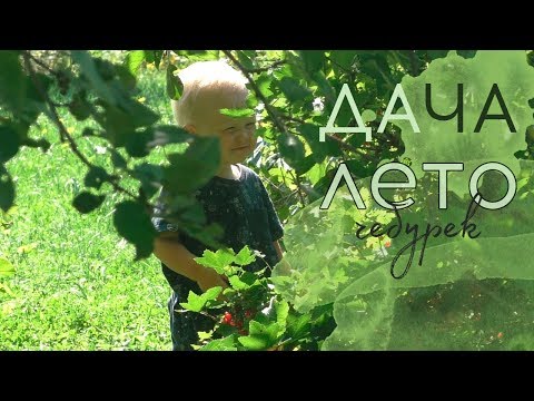 Видео: Москва/ДАЧА/чебурек :)