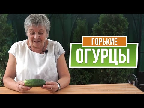 Видео: Почему Огурцы Горькие 🥒 Как Избавиться от Горечи в Огурцах