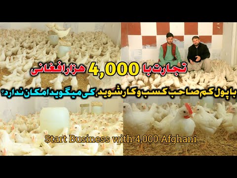 Видео: Начните бизнес с 4000 тысяч афгани || Начните бизнес с небольшими деньгами | Начните бизнес всего...