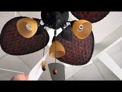 Видео: Специальное предложение для подписчиков 6000! Потолочные вентиляторы в Dan’s Fan City (в другом м...