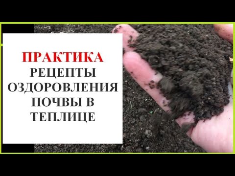 Видео: КАК ОЖИВИТЬ И ОЗДОРОВИТЬ ЗЕМЛЮ