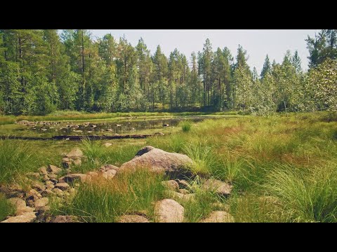 Видео: Безымянное озеро 1