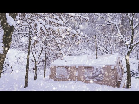 Видео: Уютный кемпинг с щенком во время трехдневной снежной бури