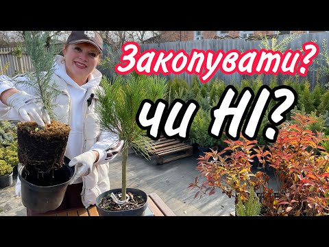 Видео: Відповідь Дмитру і не тільки..