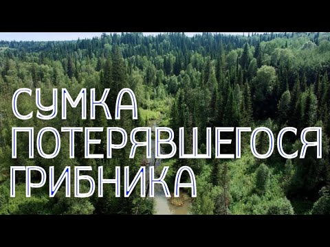 Видео: Сумка потерявшегося грибника