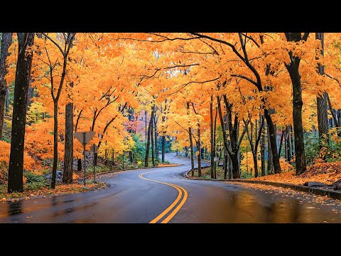 Видео: Прекрасная расслабляющая музыка 🍁 Успокаивающие звуки осени, глубокое расслабление, снятие стресса