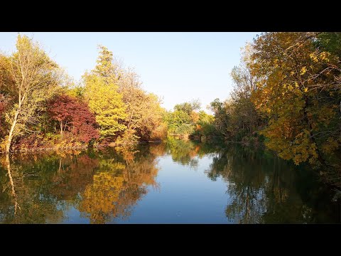 Видео: Шымкент. Дендропарк. Все краски осени.