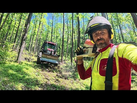 Видео: ЗАМЕНА ТРОСА В ЛЕБЕДКЕ И УБОРКА ДРЕВЕСИНЫ В МОЛОДОМ ДУБОВЕ, Amles, Stihl 400.1 C, Zetor