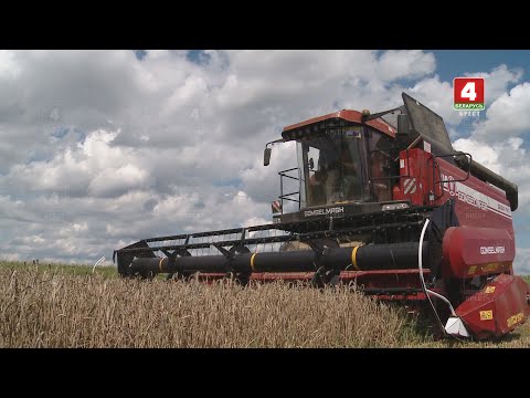 Видео: Наш район - Пружанский 12-08-23