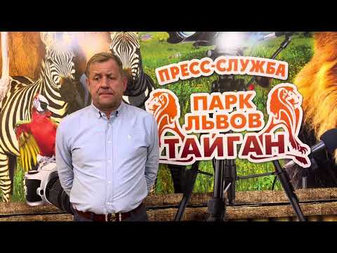 Видео: В Парке Львов Тайган ОГРОМНОЕ ГОРЕ!Погибла самая лучшая и опытная сотрудница! Лялечка,СВЕТЛАЯ ПАМЯТЬ