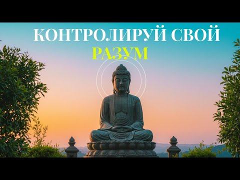 Видео: Будда — Научись контролировать ум